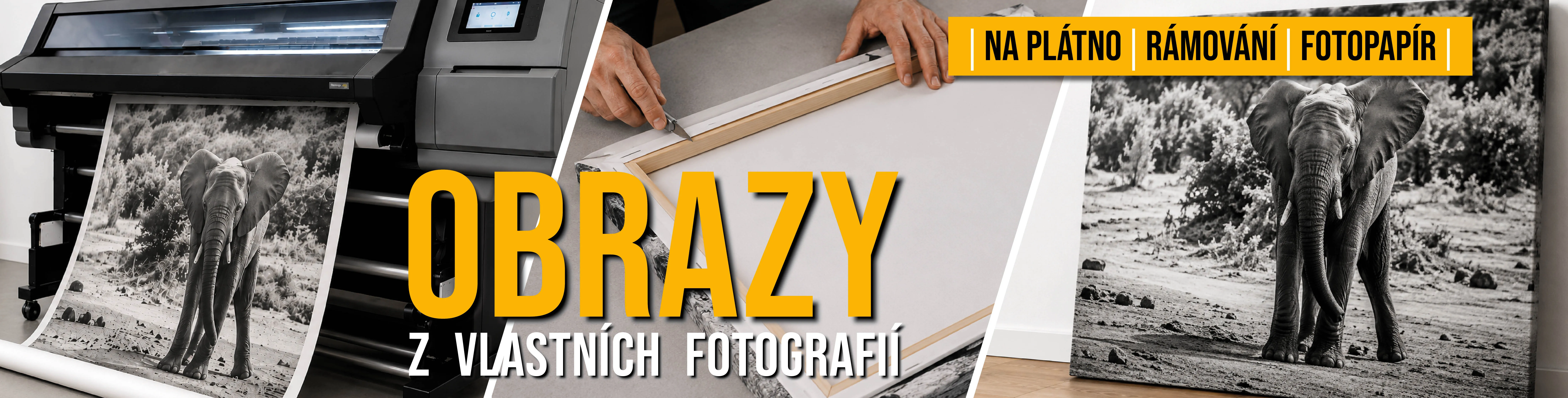 Ilustrace