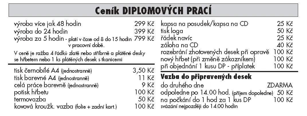 Bílý Slon - příklad naší práce