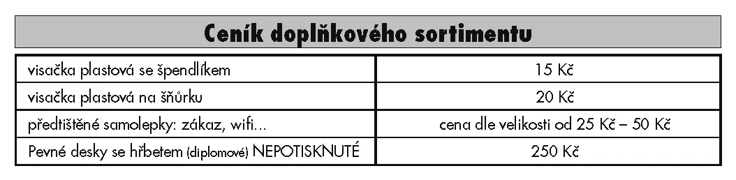 Bílý Slon - příklad naší práce