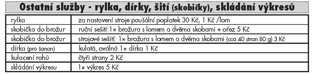 Bílý Slon - příklad naší práce
