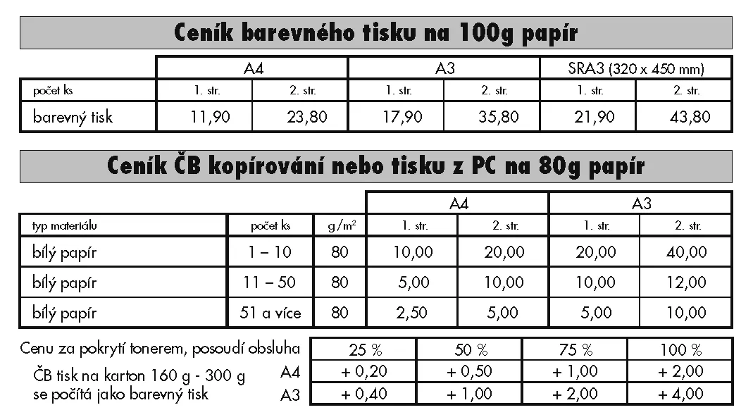Bílý Slon - příklad naší práce