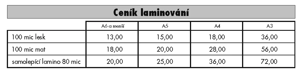 Bílý Slon - příklad naší práce
