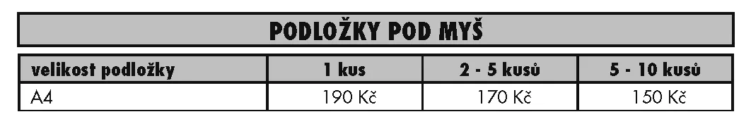 Bílý Slon - příklad naší práce