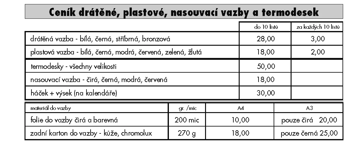 Bílý Slon - příklad naší práce